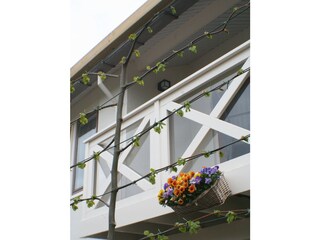 Appartamento Domburg Registrazione all'aperto 3