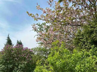 Holiday room Selb Outdoor Recording 5