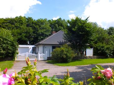Holiday house Haus Ackerpflanze