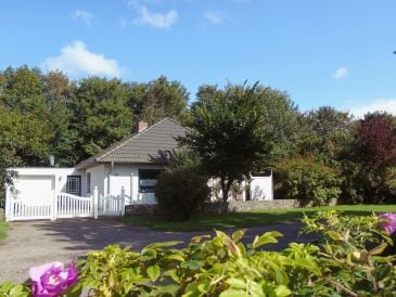 Ferienhaus Haus Ackerpflanze