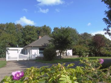 Holiday house Haus Ackerpflanze