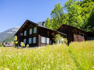 Apartment Gaschurn Umgebung 21