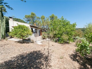 Tenuta Campanet Registrazione all'aperto 11