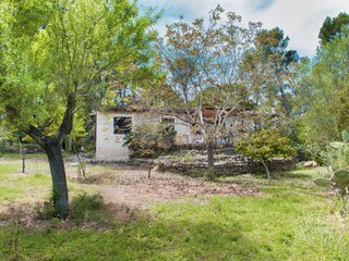 Tenuta Campanet Registrazione all'aperto 12