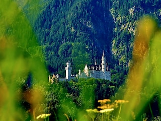 Schlossblick von der Wohnung auf Schloss Neuschwanstein