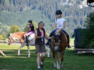 Vakantieappartement Schwangau Buitenaudio-opname 9
