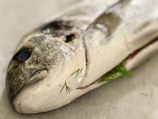 Frischester Fisch!