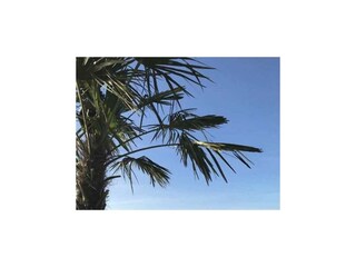 Holiday house Geeste Environment 16