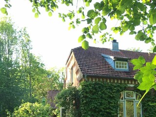 Ferienwohnung Steinberg (Angeln) Außenaufnahme 14