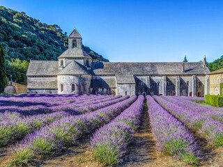 Abbaye de Senanque Gordes