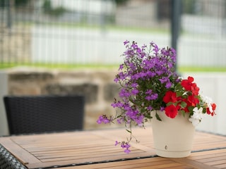 Ferienhaus-Sonnenterrasse-Kleverberg_Terrasse a-