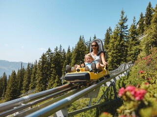 Lauser-Sauser-Alpine-Coaster-Mutter-mit-Sohn-Somme