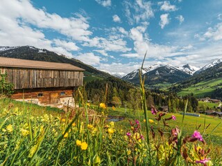 Alpbach Sommerlandschaft (2609)_Foto wirlichtenab.