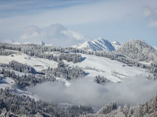 Alpbach_Schnee_Winter_2024_Alpbachtal Tourismus_Fo