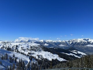 IMG_8330