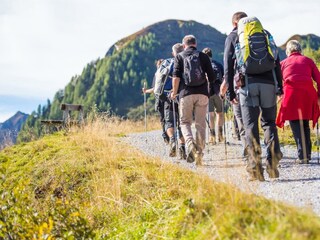 Geführte Wanderungen  (c) Gasteinertal Tourismus G