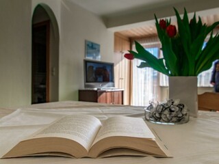 Appartements-Monuth-Appartement16 Wohnraum3