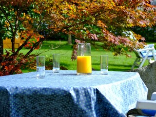 Appartement-Monuth-Bad-Hofgastein-Garten