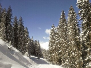 Winter Angertal