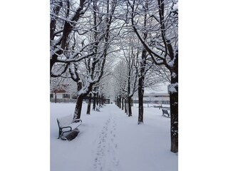 Winter Gastein