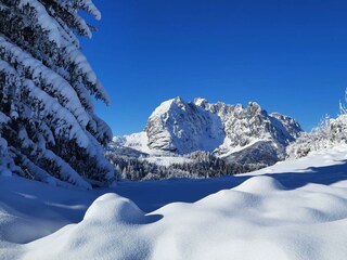 IMG-20240224-WA0022
