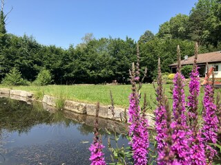 Ferienhaus Drei Mühlen-Garten und Teich
