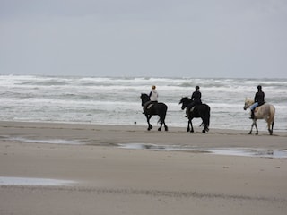 Reiten am Strand