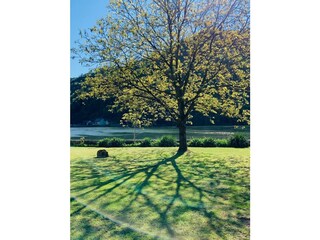 Waterfront_Garten_mit_Nussbaum