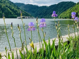 2025-05-19_Waterfront-Obermuehl_Wasser_Schiffe_Nat
