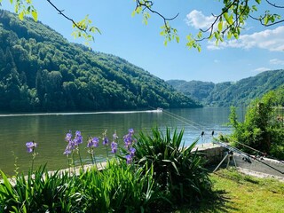 2026-05-25_Waterfront-Obermuehl_Garten_Angeln_Boot