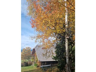 Troadkasten Herbst