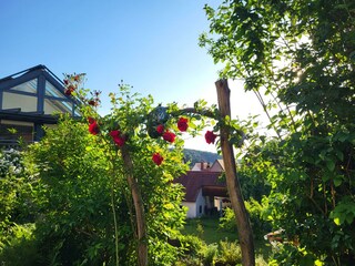 20260527_072750