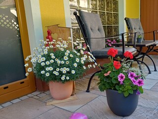 Apartment Inzersdorf Außenaufnahme 4