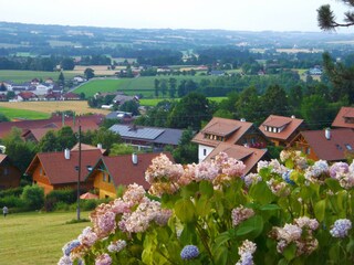 Apartment Inzersdorf Außenaufnahme 18