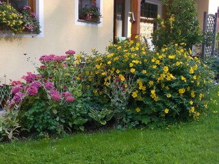 Apartment Inzersdorf Außenaufnahme 24