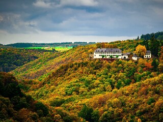 Blick auf Schloss Wartenstein