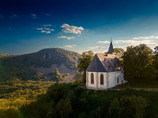 Blick auf die Stiftskirche St. Johannisberg