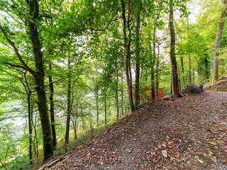 Ferienhaus La Roche-en-Ardenne Umgebung 27