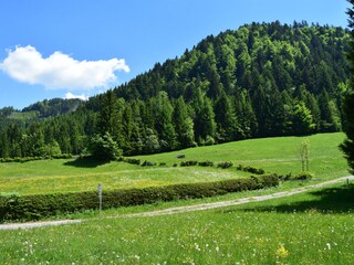 Many walking/cycling possibilities in near distance