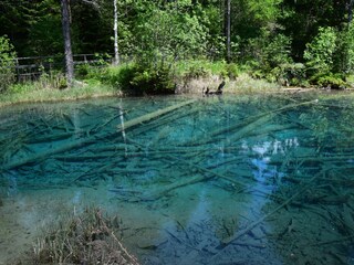 Large selection of leisure activities