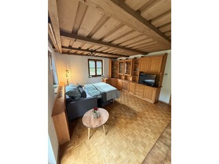 Wohnzimmer mit Schlafcouch