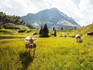 Sommer 2016 (c)Warth-Schröcken Tourismus_Fotograf