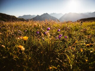 Sommer 2016(c)Warth-Schröcken Tourismus_Fotograf S