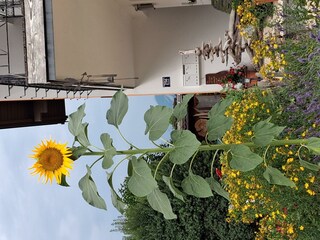 20260714_104804