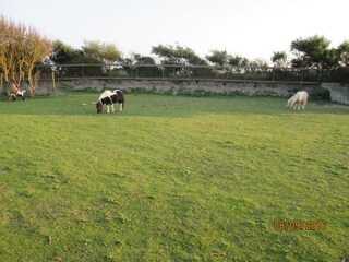 Tiergehege im Park