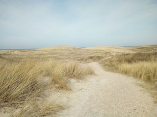 Dünenlandschaft