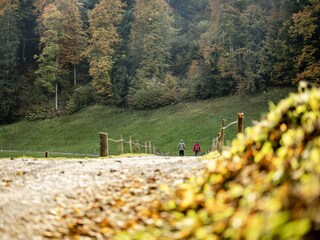 Wandern