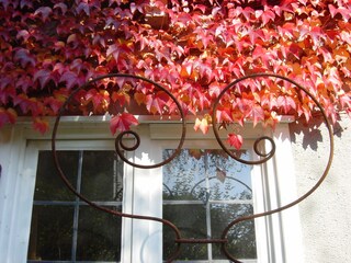 Herbstlaub