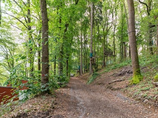 Ferienhaus La Roche-en-Ardenne Umgebung 21