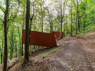 Ferienhaus La Roche-en-Ardenne Umgebung 23